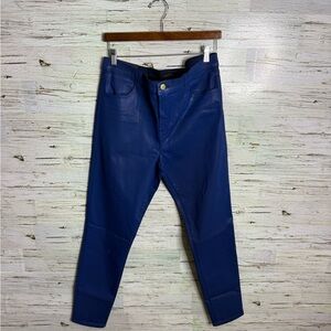 J Brand Maria High Rise Blueberry Coated Skinny indigo gloss NWT size 32